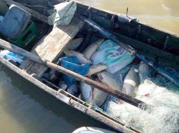 Prinşi la braconat, pe Dunăre: poliţiştii au ridicat 20 de kilograme de crap!